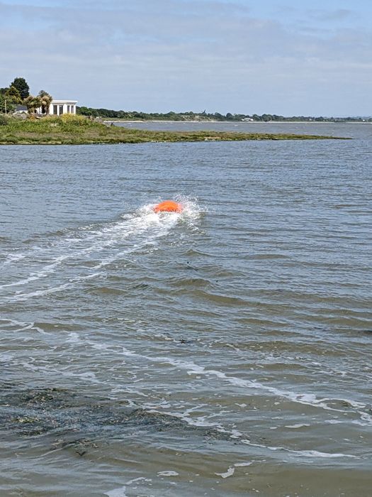 Poseidon-L1 | Remote Control Lifebuoy