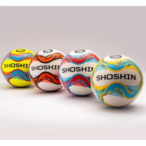 Shoshin Training Football