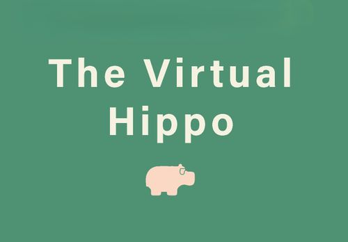 The Virtual Hippo