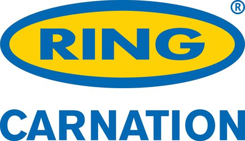 Ring Automotive Ltd