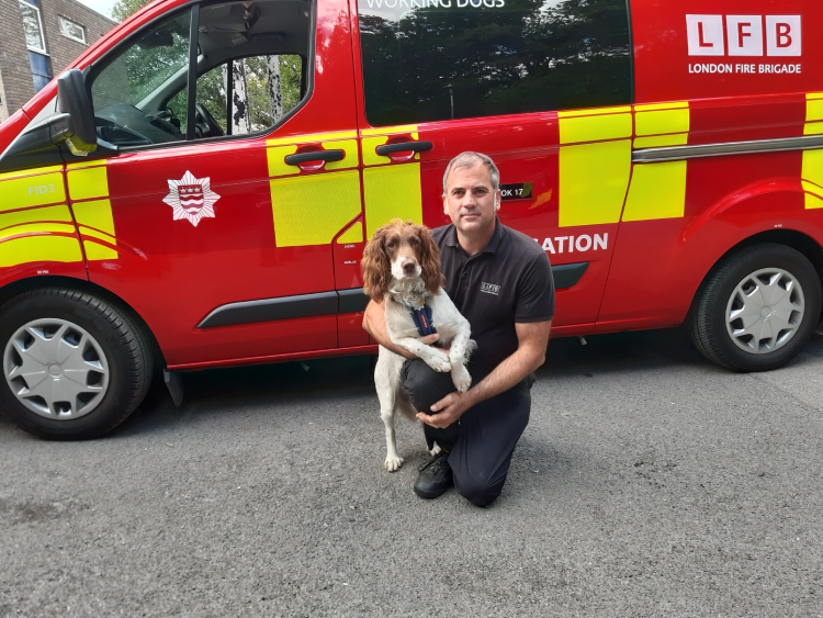 Simba - London Fire Brigade