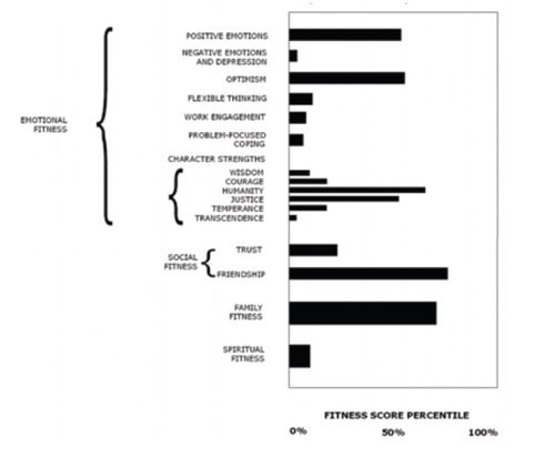 49 North™ Mental Fitness Assessment (MFA)