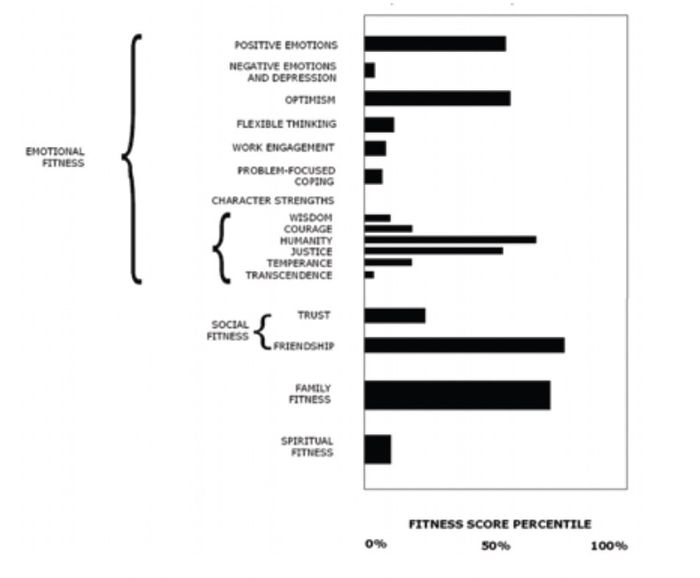 49 North™ Mental Fitness Assessment (MFA)