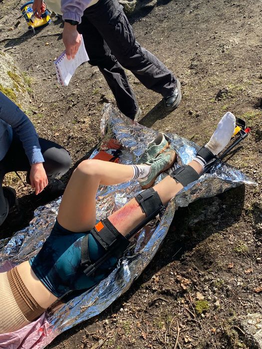 Giraffe Traction Splint