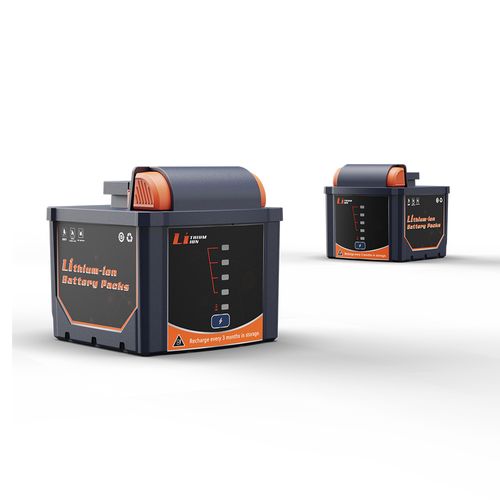 D24-100| Lithium-Ion Battery Pack