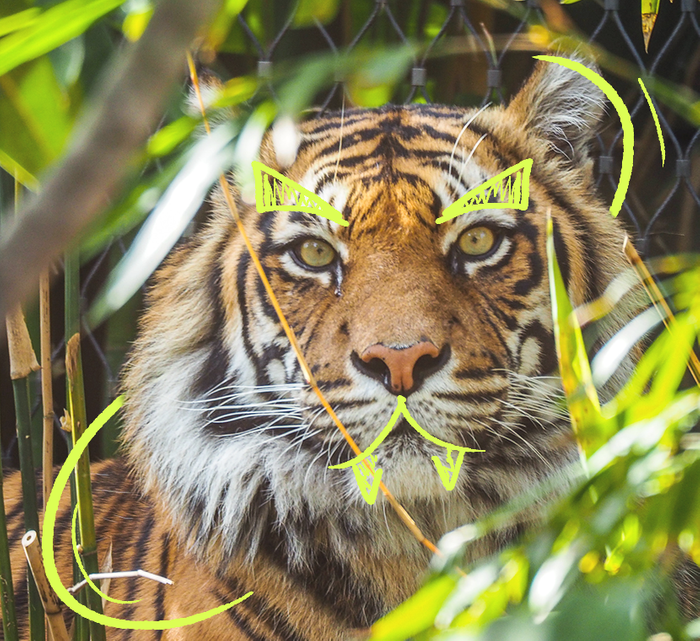 CSSC Member Benefits