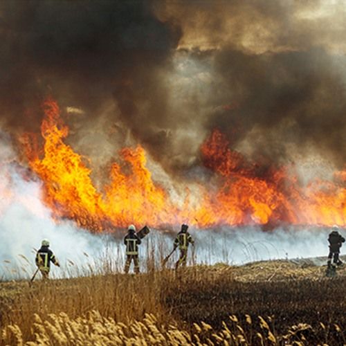 Wildland Firefighting