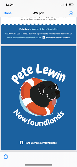 Exhibitor profile image for Pete Lewin Newfoundlands Dogs