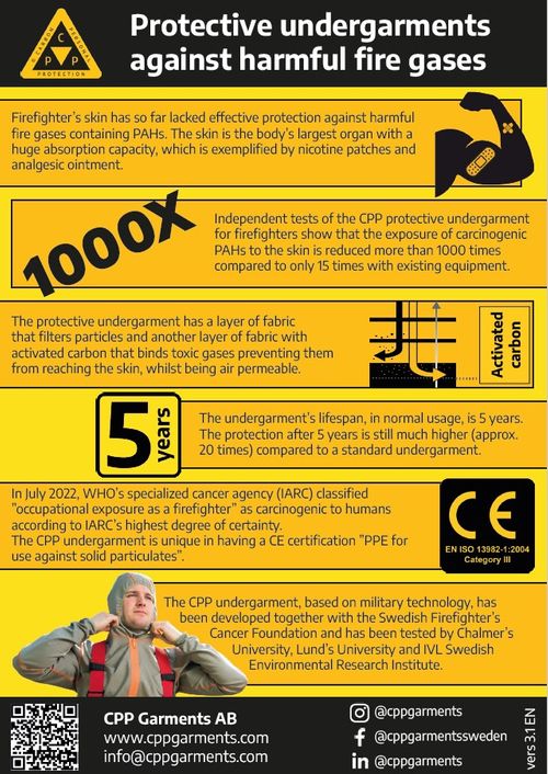 Flyer describing our product