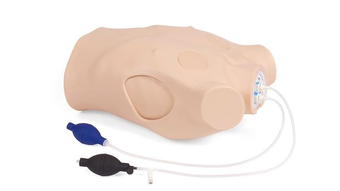 Chest Drain & Needle Decompression Trainer