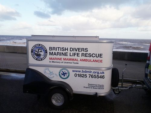 British Divers Marine Life Rescue