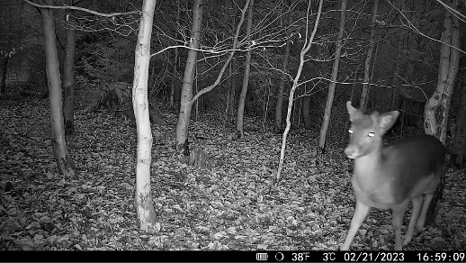 HikMicro M15 Cellular Camera System