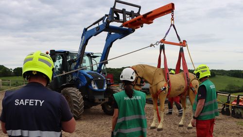 BARTA - Team Leader Module