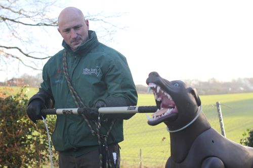 BARTA - Incidents Involving Canines