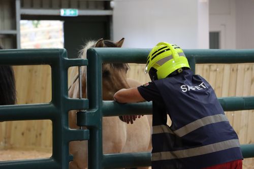 BARTA - Incidents Involving Equines