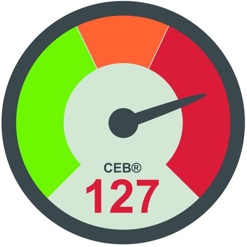 ECGmax & CEB on the corpuls3