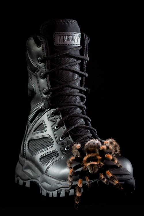 Magnum Elite Spider X