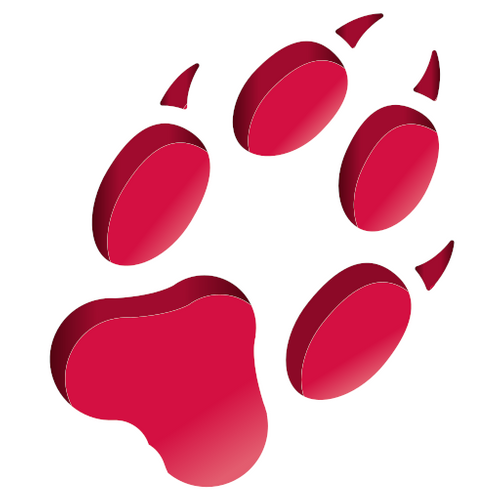 Cunning Running Software Ltd