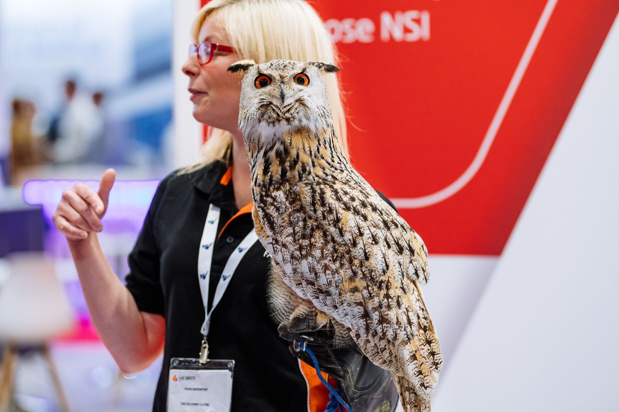 Owl