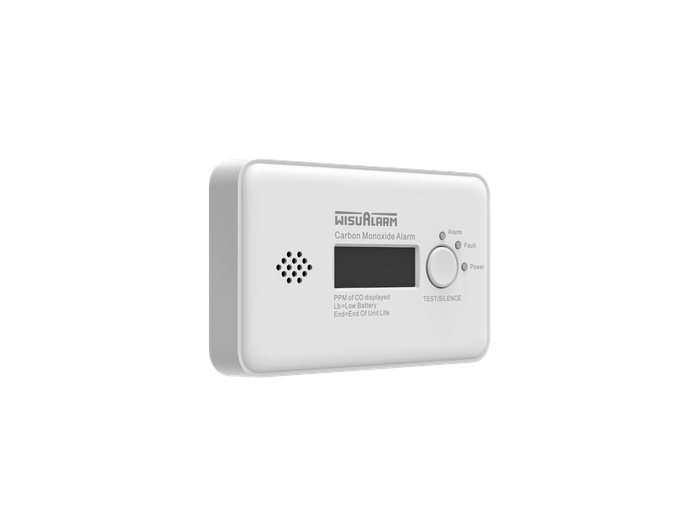 Standalone Carbon Monoxide Alarm