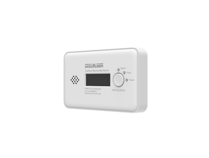 Standalone Carbon Monoxide Alarm
