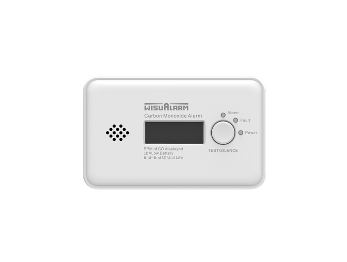 Standalone Carbon Monoxide Alarm