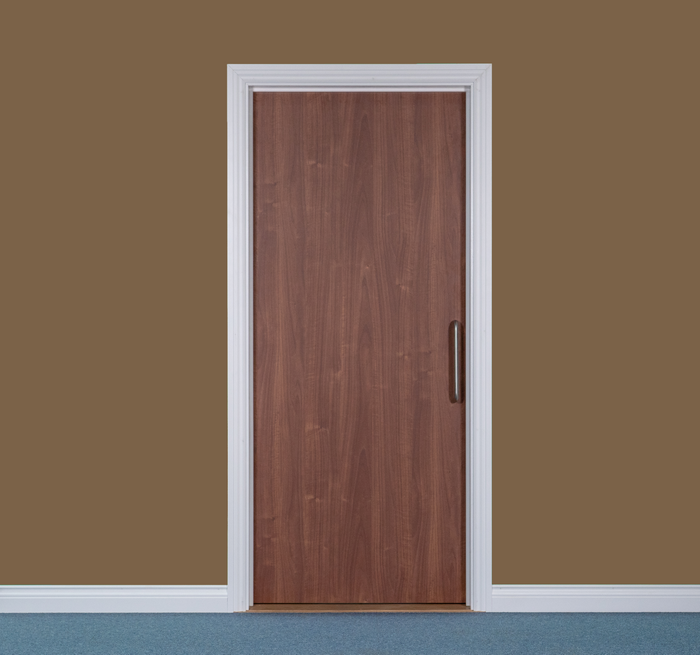 Veneered Fire Doors