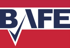 Exhibitor profile image for BAFE