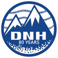 Company name - DNH Worldwide Limited