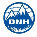 Company name - DNH Worldwide Limited