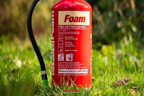 Leading the charge: our updated sustainability pledge