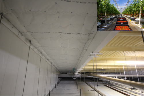 FIREFLY® Products Protecting Britain’s Premier Glasshouse Business