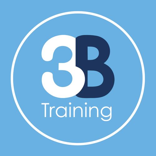 3B Training