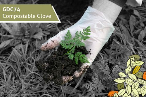 COMPOSTABLE GLOVES, THE LATEST ADDITION TO THE SHIELD RANGE