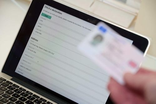 Driving Licence Checks