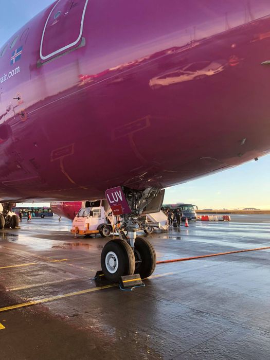 Wheel Chocks SAE AIR4905