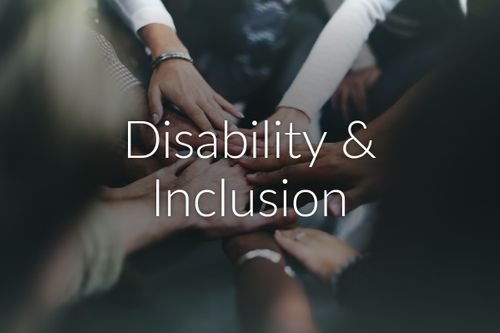 Interactive Workshop - Disability and Inclusion