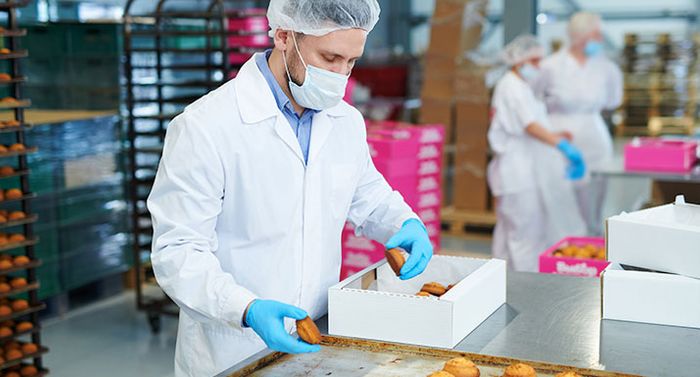 FOOD TRADE & PROCESSING GARMENTS