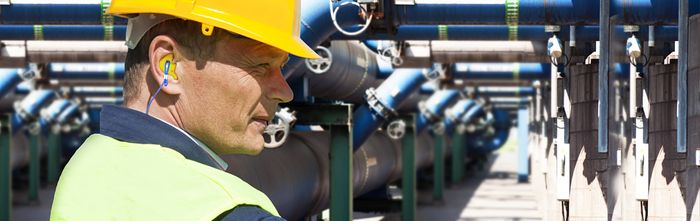 ProtectHear moulded ear plugs