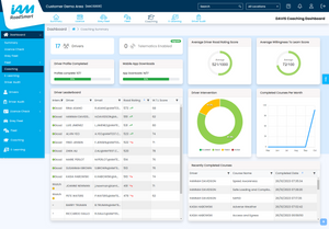 RoadSmart - Online Risk Management
