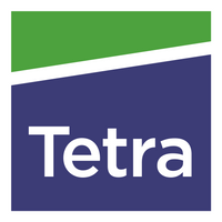 Company name - Tetra Consulting