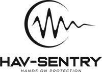 Company name - Feraru Dynamics