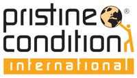 Company name - Pristine Condition