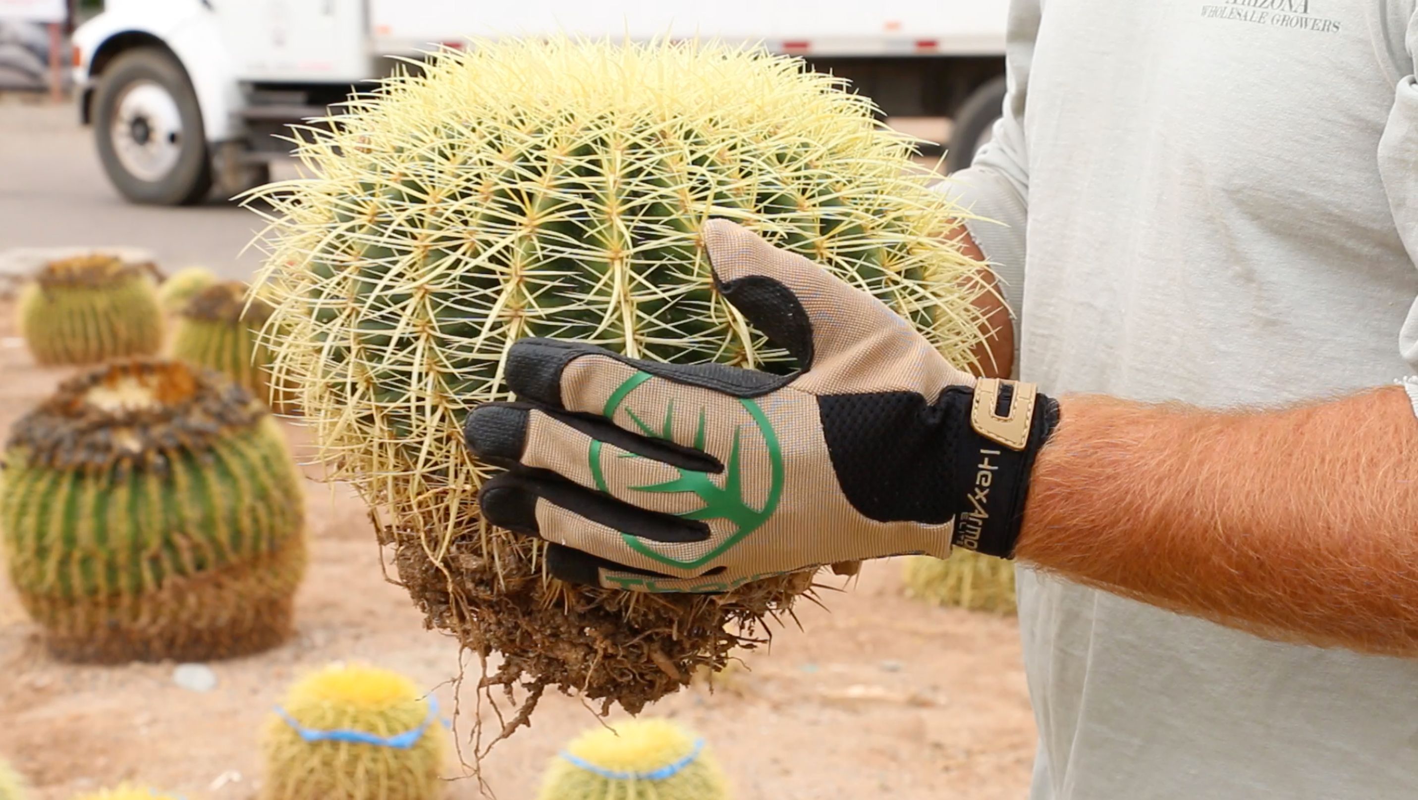 Enjoy interactive demonstrations on the uvex stand at the Health & Safety Event 2025