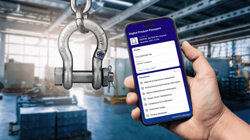 RiConnect’s Torch-Bearing DPPaaS Concept