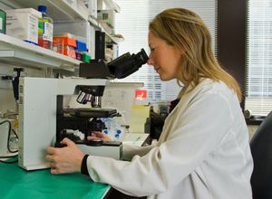 Is new era cancer research breaking fresh ground in link to air quality?