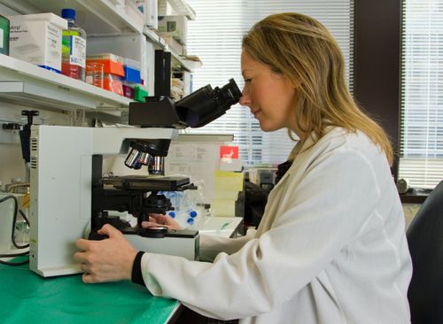 Is new era cancer research breaking fresh ground in link to air quality?