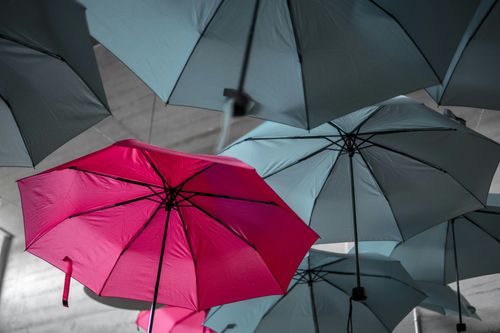Cyber Resilience vs AI Adoption: Weather-Proofing Against A Storm on the Horizon