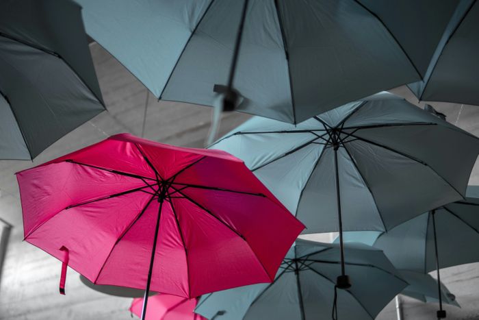Cyber Resilience vs AI Adoption: Weather-Proofing Against A Storm on the Horizon