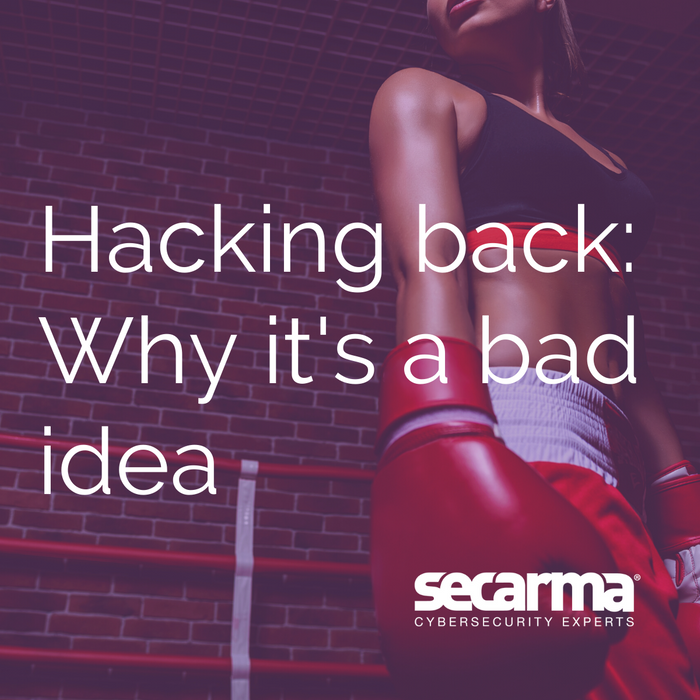 Blog: Hacking Back – Why It’s a Bad Idea